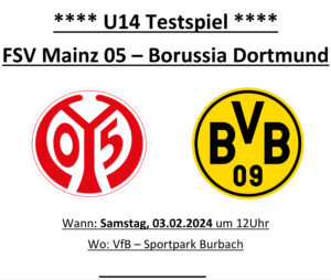 Mehr über den Artikel erfahren U14 Testspiel FSV gegen BVB